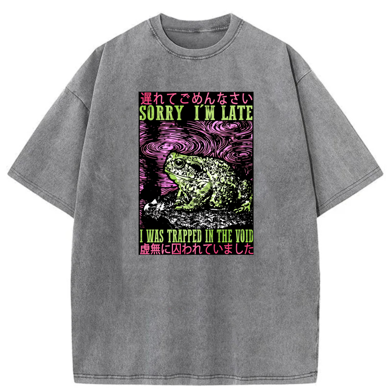 Frog In Void With Japanese Text And Swirls tshirt 100% cotton