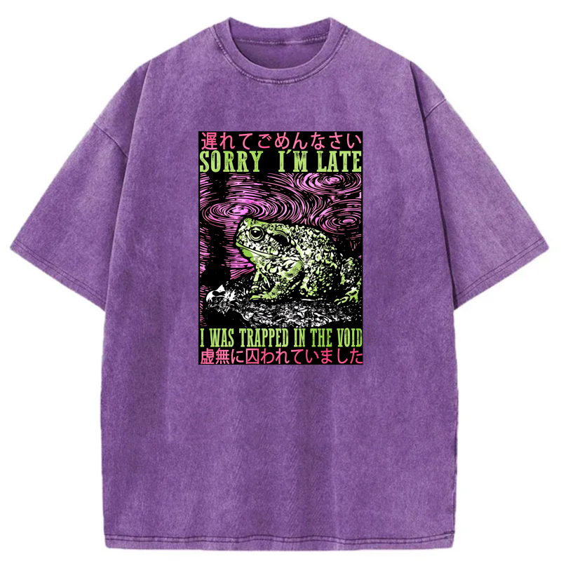Frog In Void With Japanese Text And Swirls tshirt 100% cotton