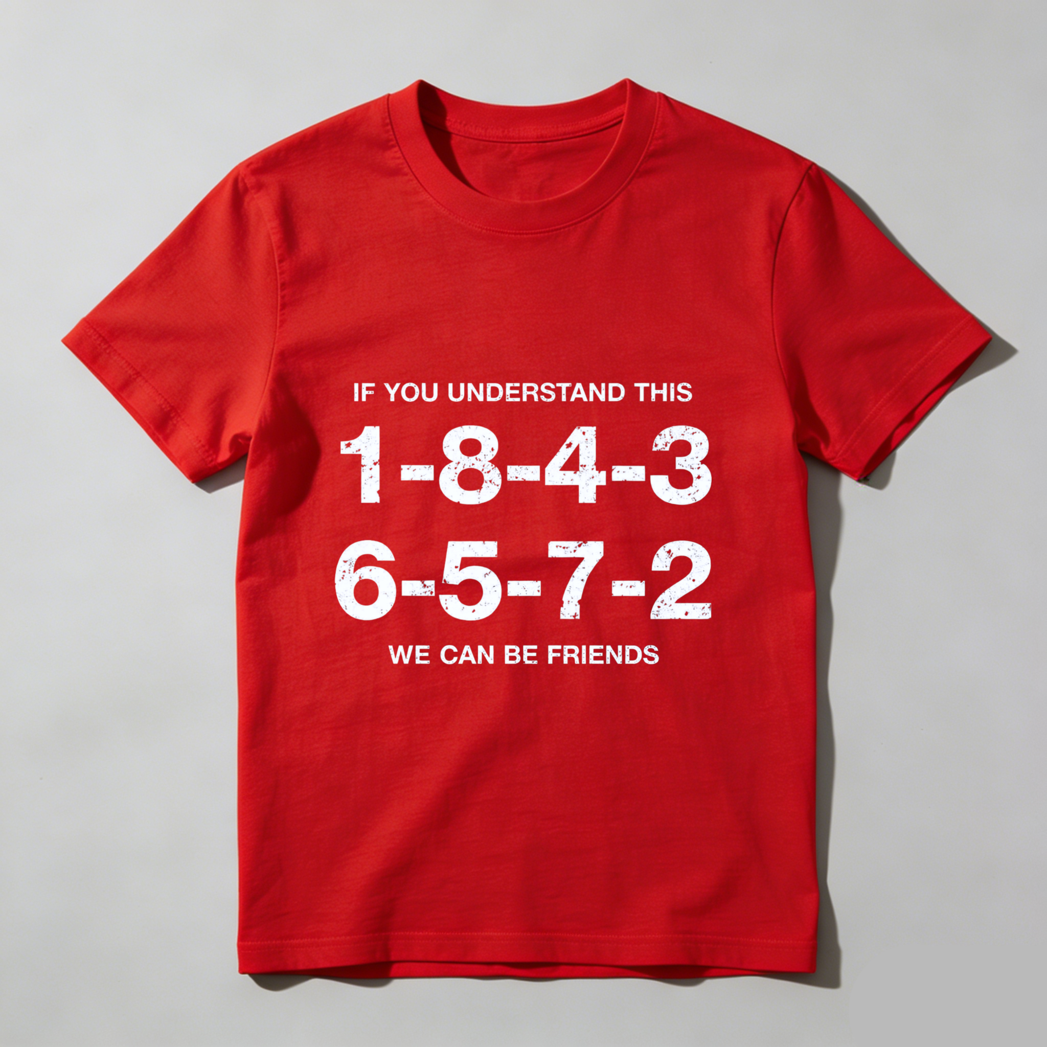If You Understand This 1 8 4 3 6 5 7 2 We Can Be Friends T Shirt