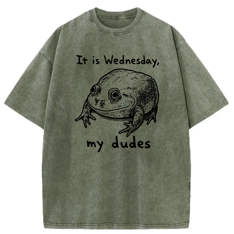 It Is Wednesday My Dudes Frog tshirt 100% cotton