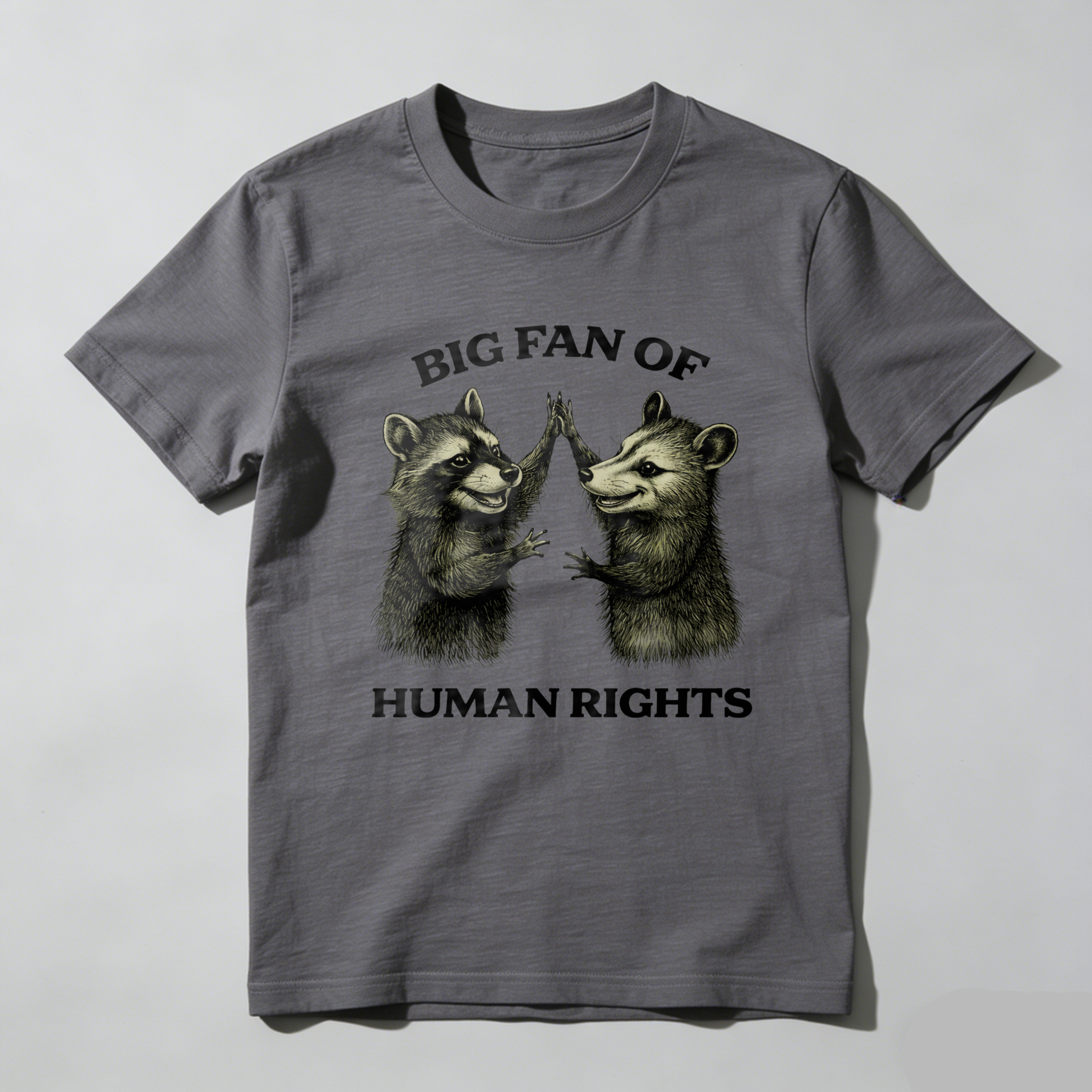 TEECURENTBig Fan Of Human Rights Raccoon Graphic T-Shirt For Men And Women Unisex Design Black Cotton Shirt With Animal Art Print-TeeCurent