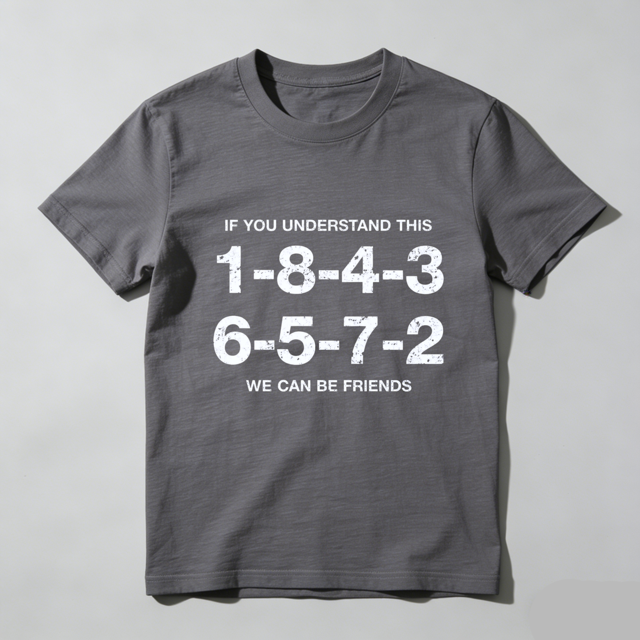 If You Understand This 1 8 4 3 6 5 7 2 We Can Be Friends T Shirt
