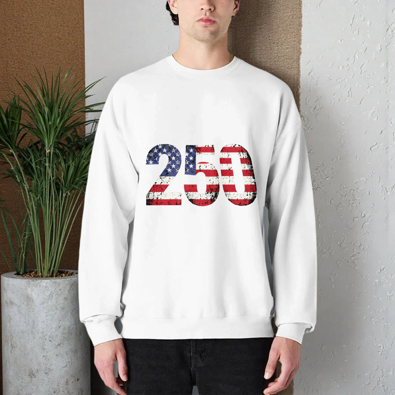 American Flag 250th Anniversary Black Sweatshirt Unisex Crewneck Pullover Long Sleeve Casual Top