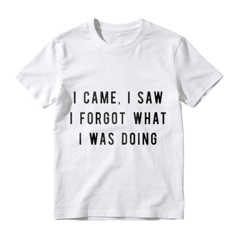 I Came I Saw I Forgot What I Was Doing Unisex Classic T-shirt