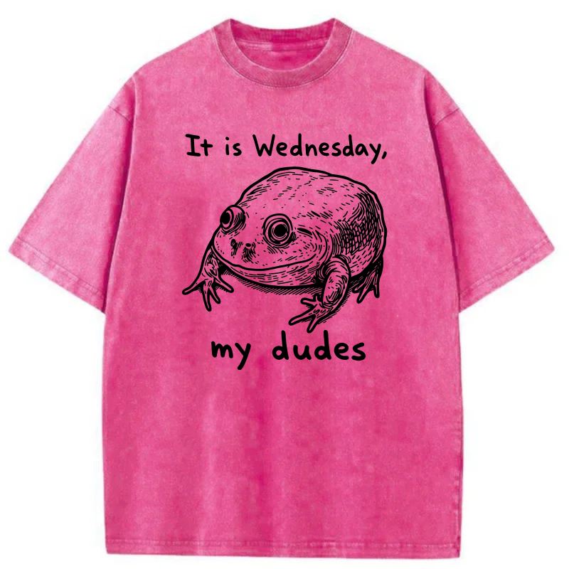It Is Wednesday My Dudes Frog tshirt 100% cotton