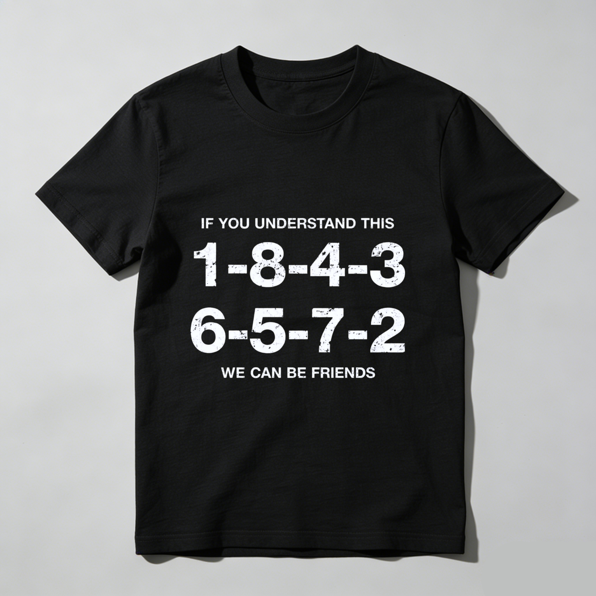 If You Understand This 1 8 4 3 6 5 7 2 We Can Be Friends T Shirt