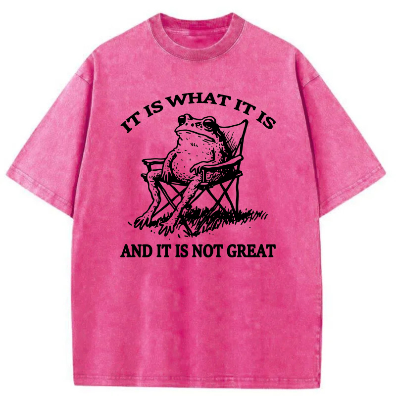 It Is What It Is And It Is Not Great tshirt 100% cotton