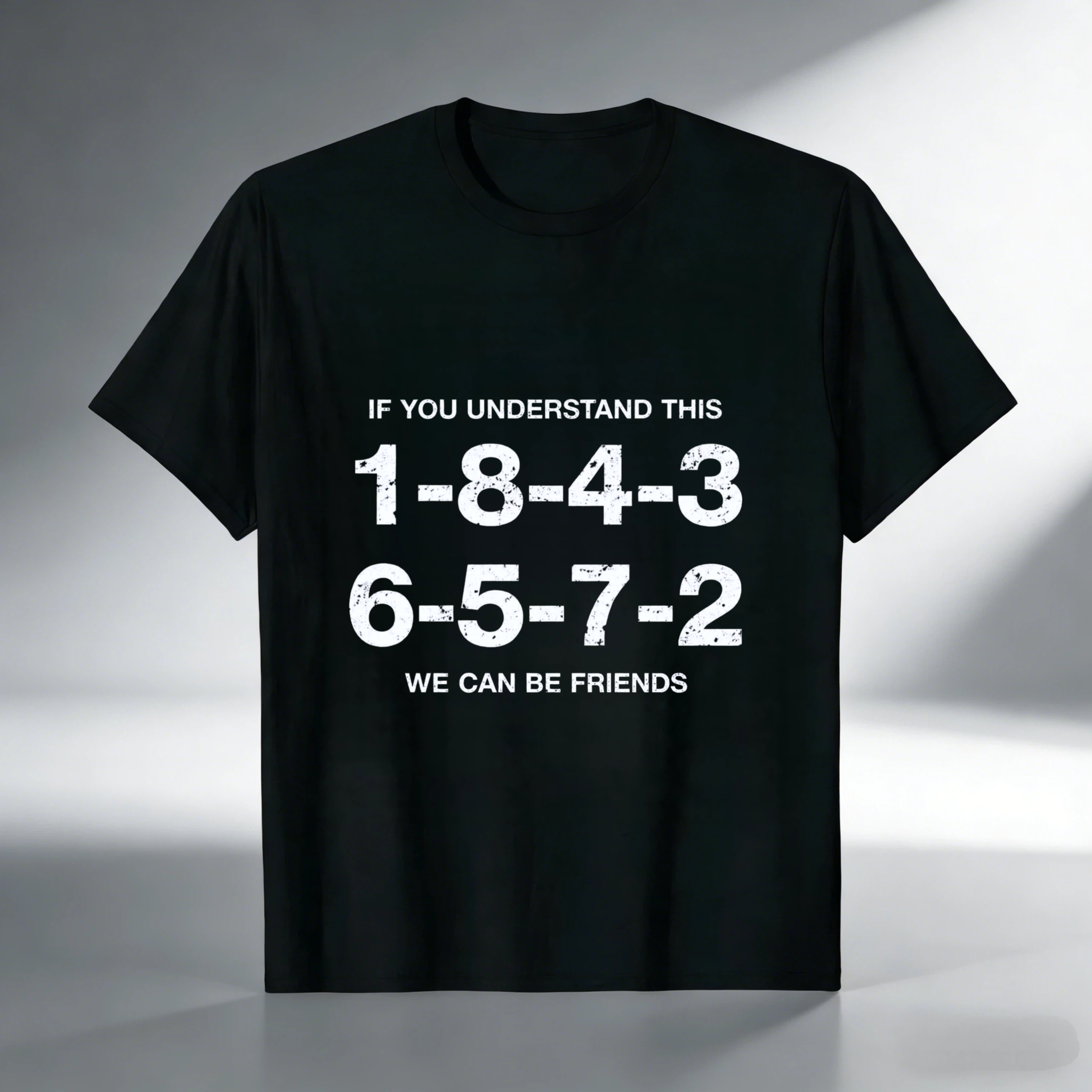 If You Understand This 1 8 4 3 6 5 7 2 We Can Be Friends T Shirt
