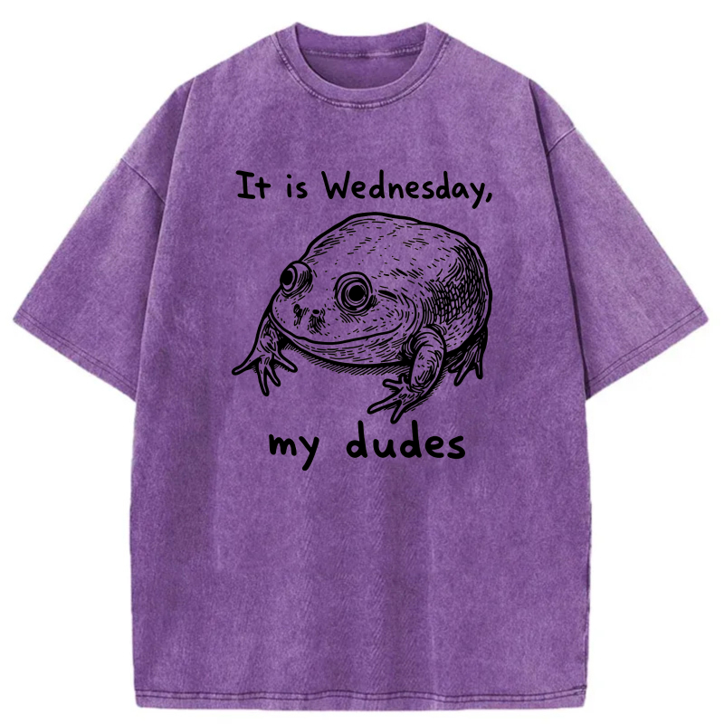It Is Wednesday My Dudes Frog tshirt 100% cotton