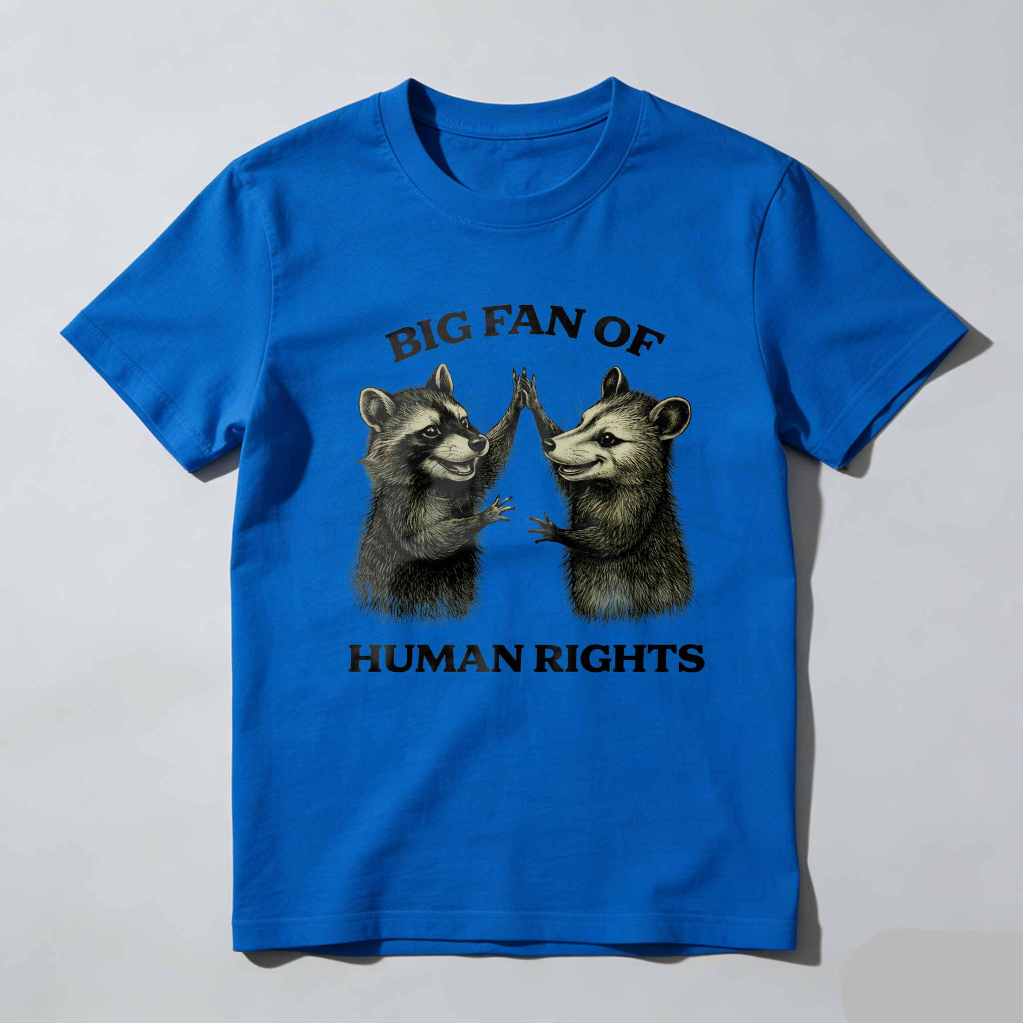 TEECURENTBig Fan Of Human Rights Raccoon Graphic T-Shirt For Men And Women Unisex Design Black Cotton Shirt With Animal Art Print-TeeCurent