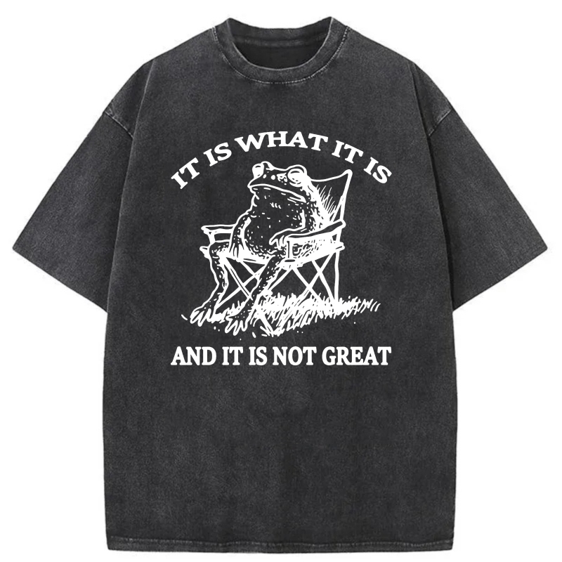 It Is What It Is And It Is Not Great tshirt 100% cotton