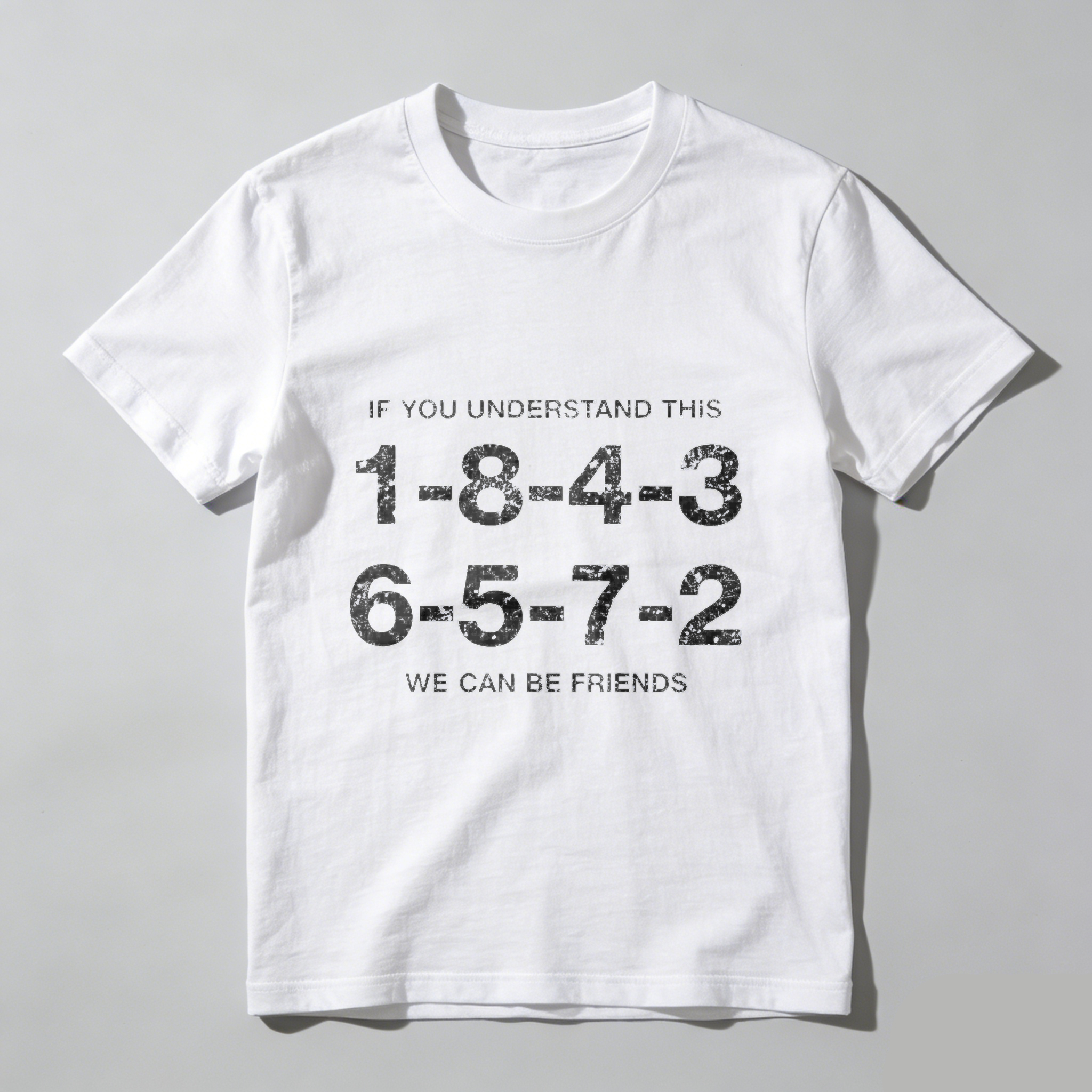 If You Understand This 1 8 4 3 6 5 7 2 We Can Be Friends T Shirt