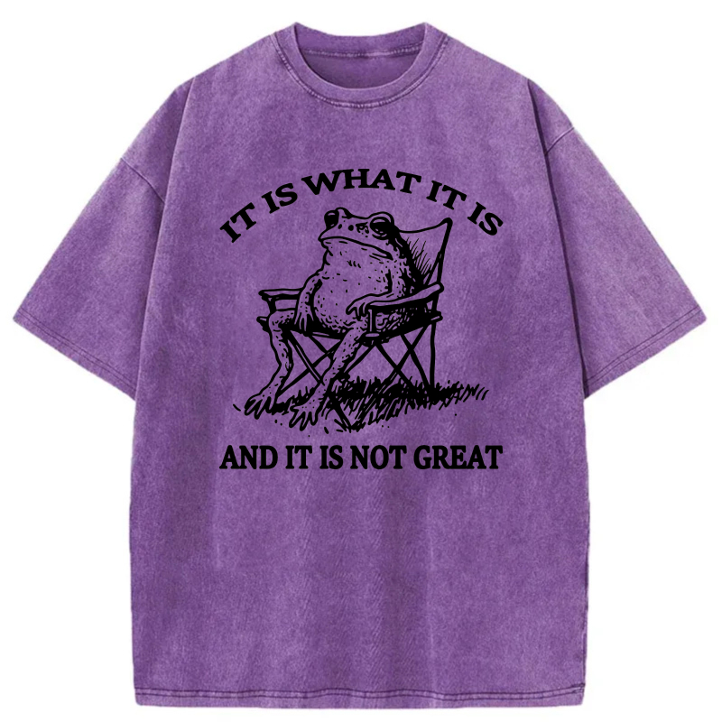 It Is What It Is And It Is Not Great tshirt 100% cotton