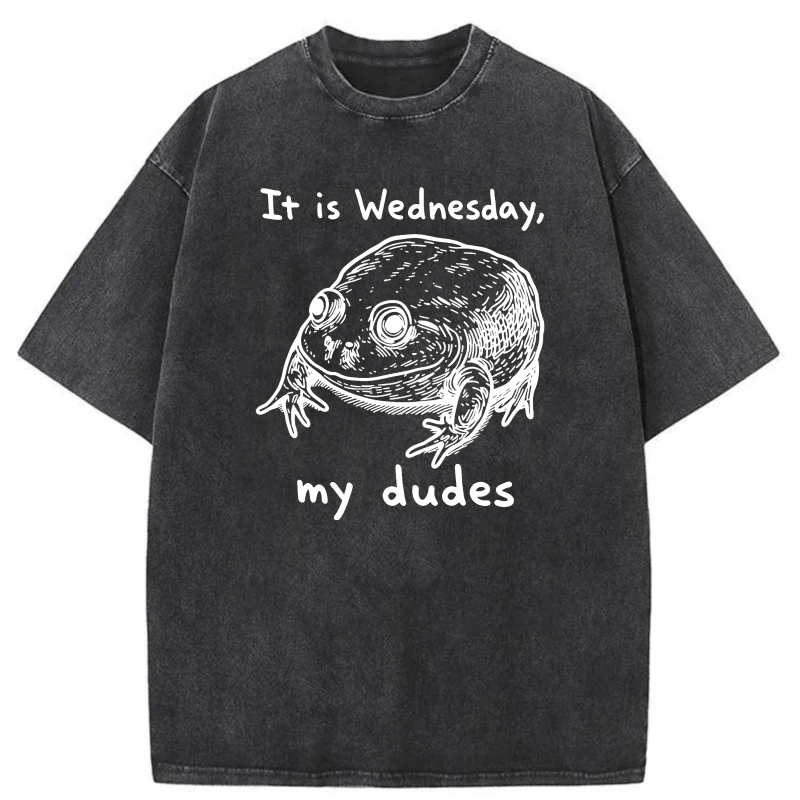It Is Wednesday My Dudes Frog tshirt 100% cotton