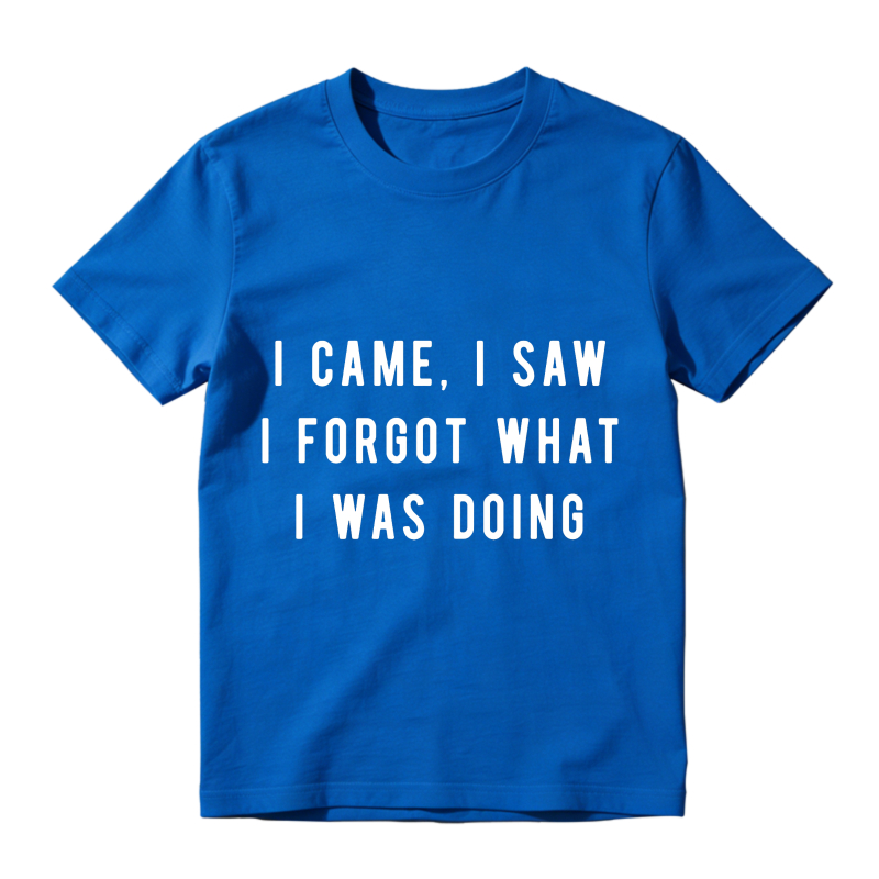 I Came I Saw I Forgot What I Was Doing Unisex Classic T-shirt