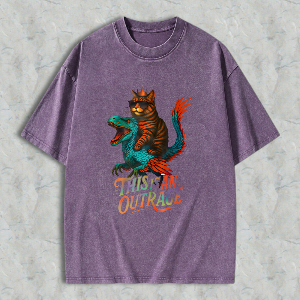 Wardrobecart Cat Riding Dragon This Is An Outrage Unisex Washed T-shirt