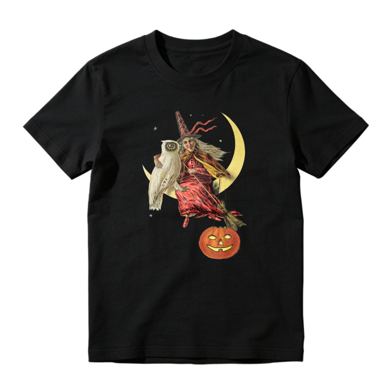 Witch Flying On Broomstick With Owl And Pumpkin Moon Halloween Unisex Classic T-shirt