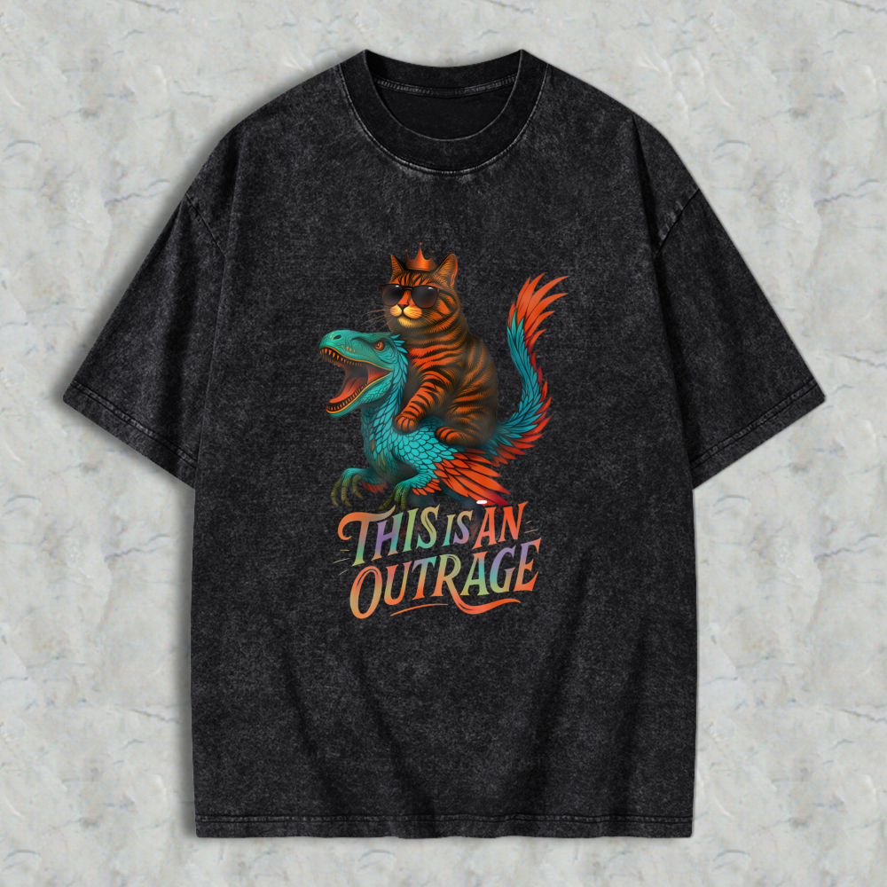 Wardrobecart Cat Riding Dragon This Is An Outrage Unisex Washed T-shirt