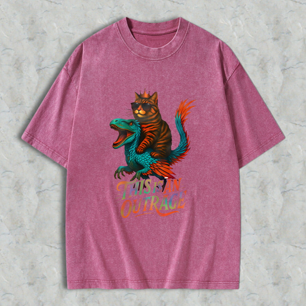 Wardrobecart Cat Riding Dragon This Is An Outrage Unisex Washed T-shirt
