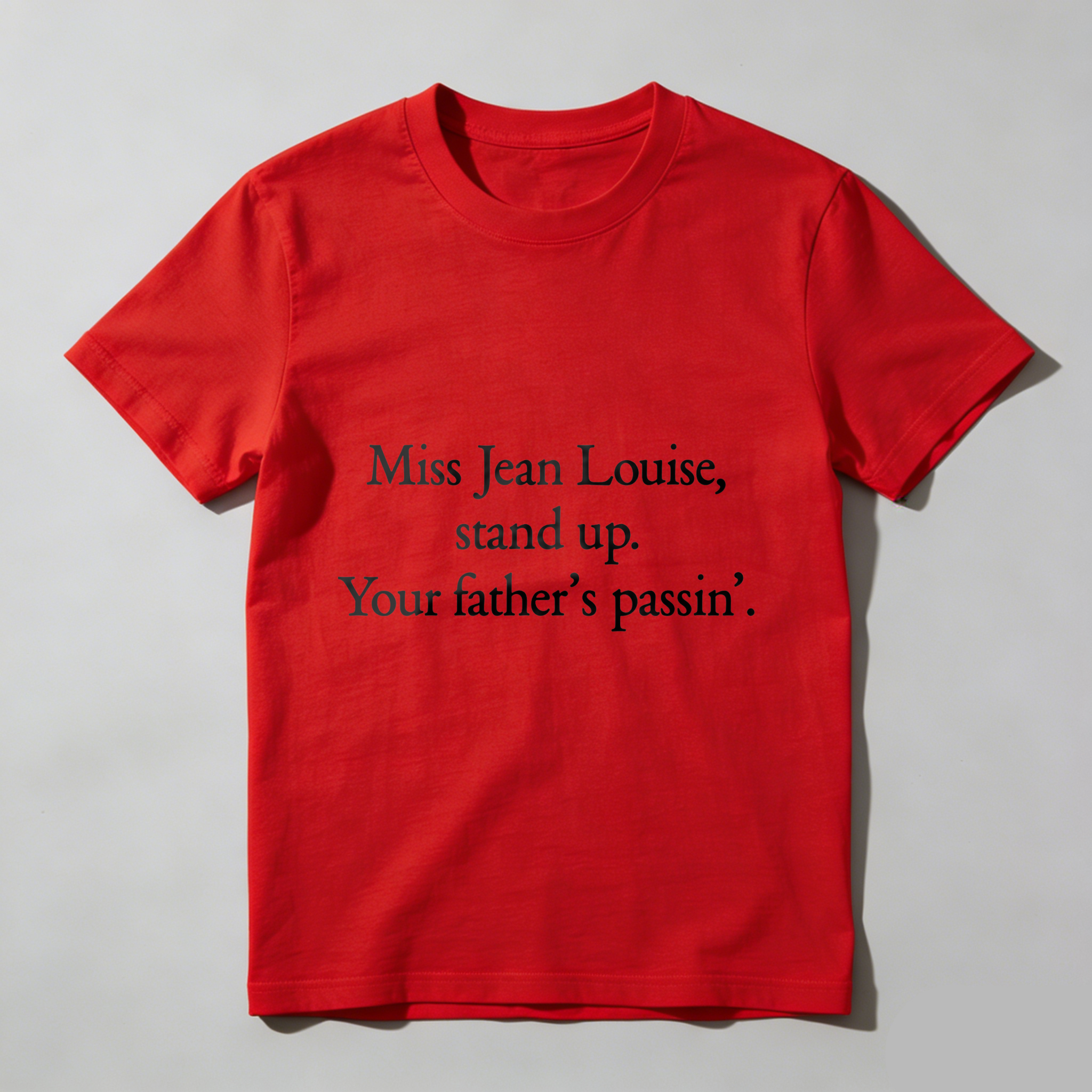 Wardrobecart Miss Jean Louise Stand Up Your Fathers Passin Tshirt