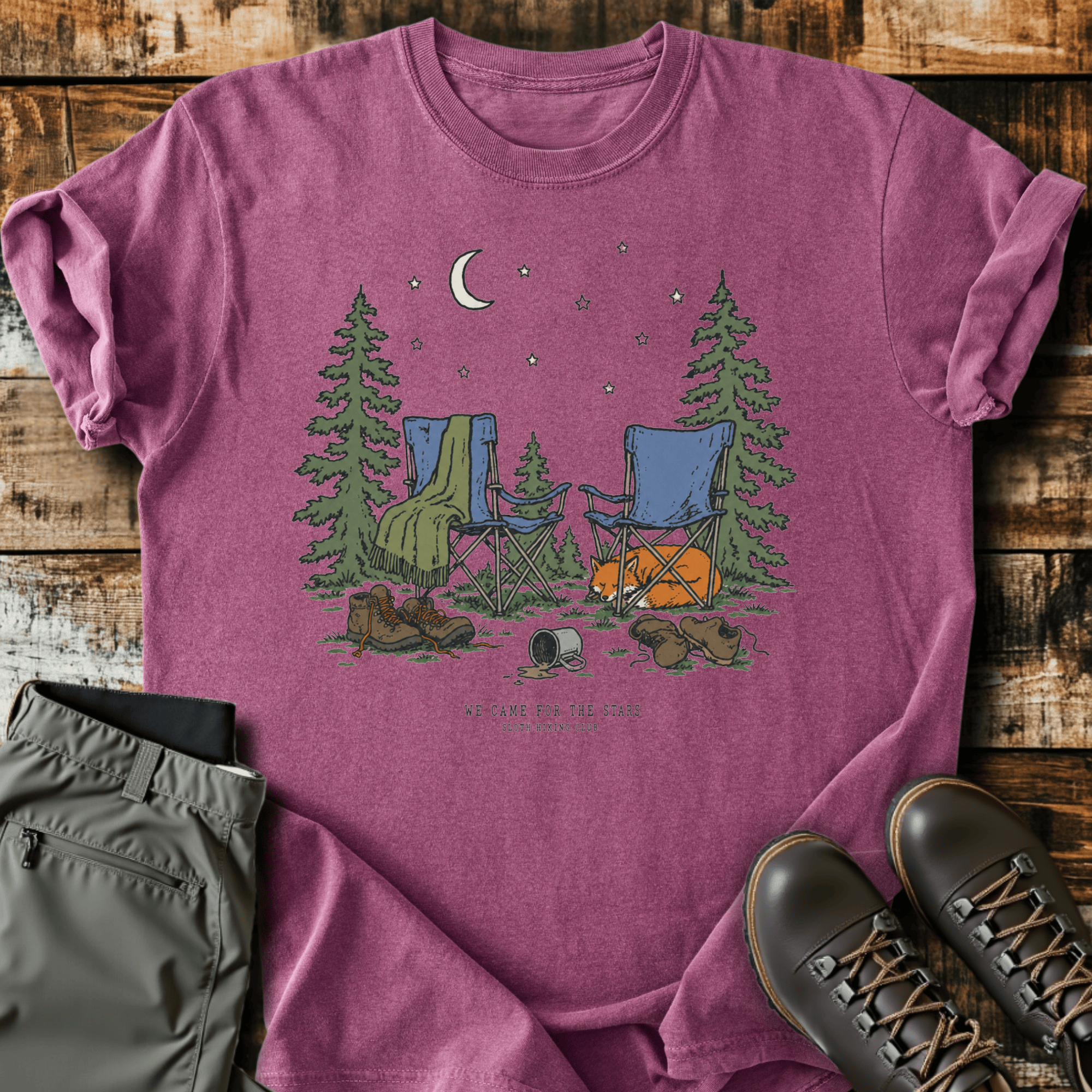 Came For The Stars T-Shirt