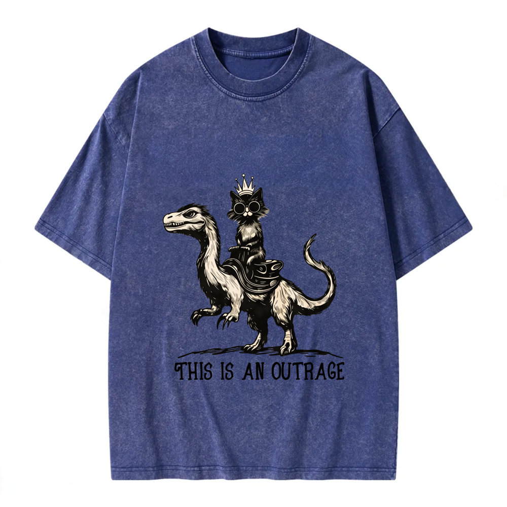 Unisex Washable T-shirt Cat Riding Dragon This Is An Outrage