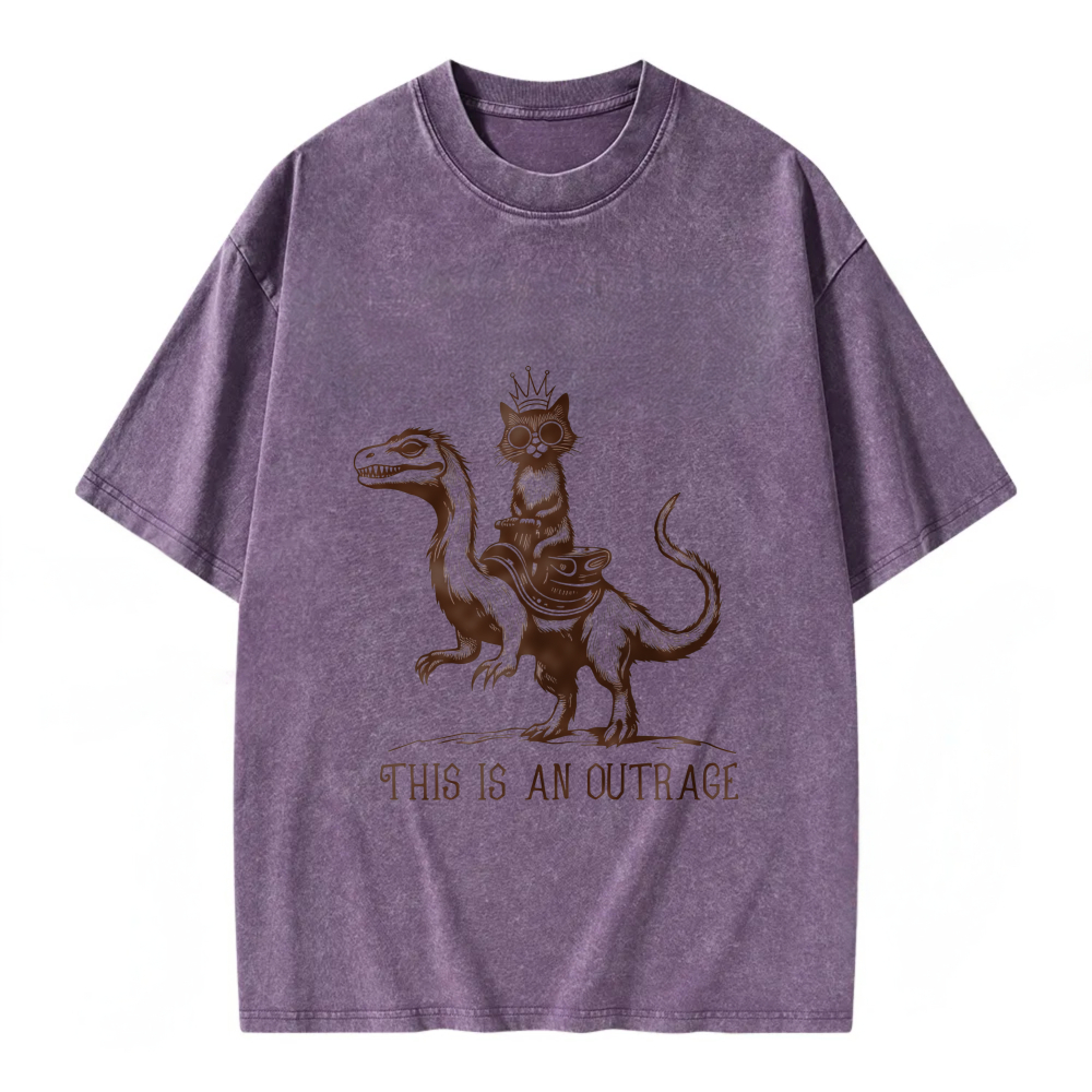 Unisex Washable T-shirt Cat Riding Dragon This Is An Outrage