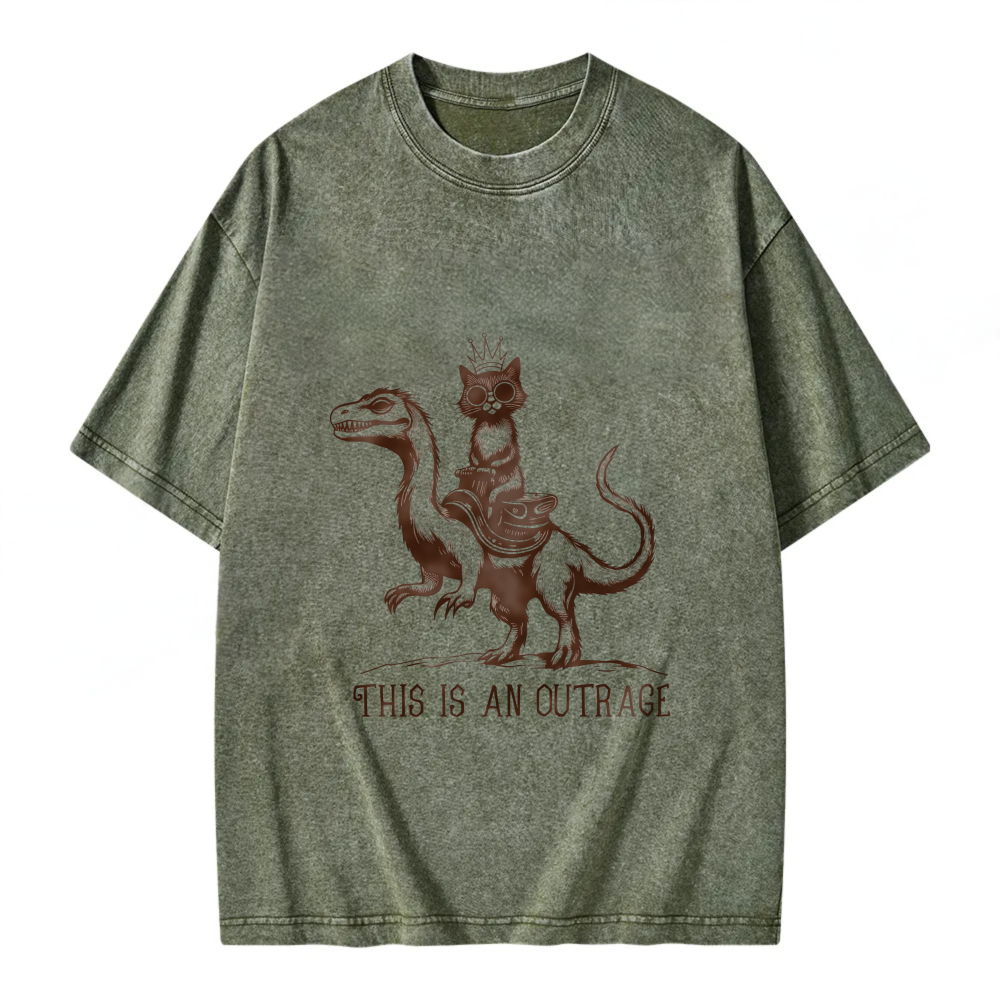 Unisex Washable T-shirt Cat Riding Dragon This Is An Outrage