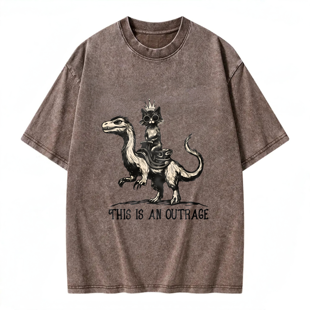 Unisex Washable T-shirt Cat Riding Dragon This Is An Outrage