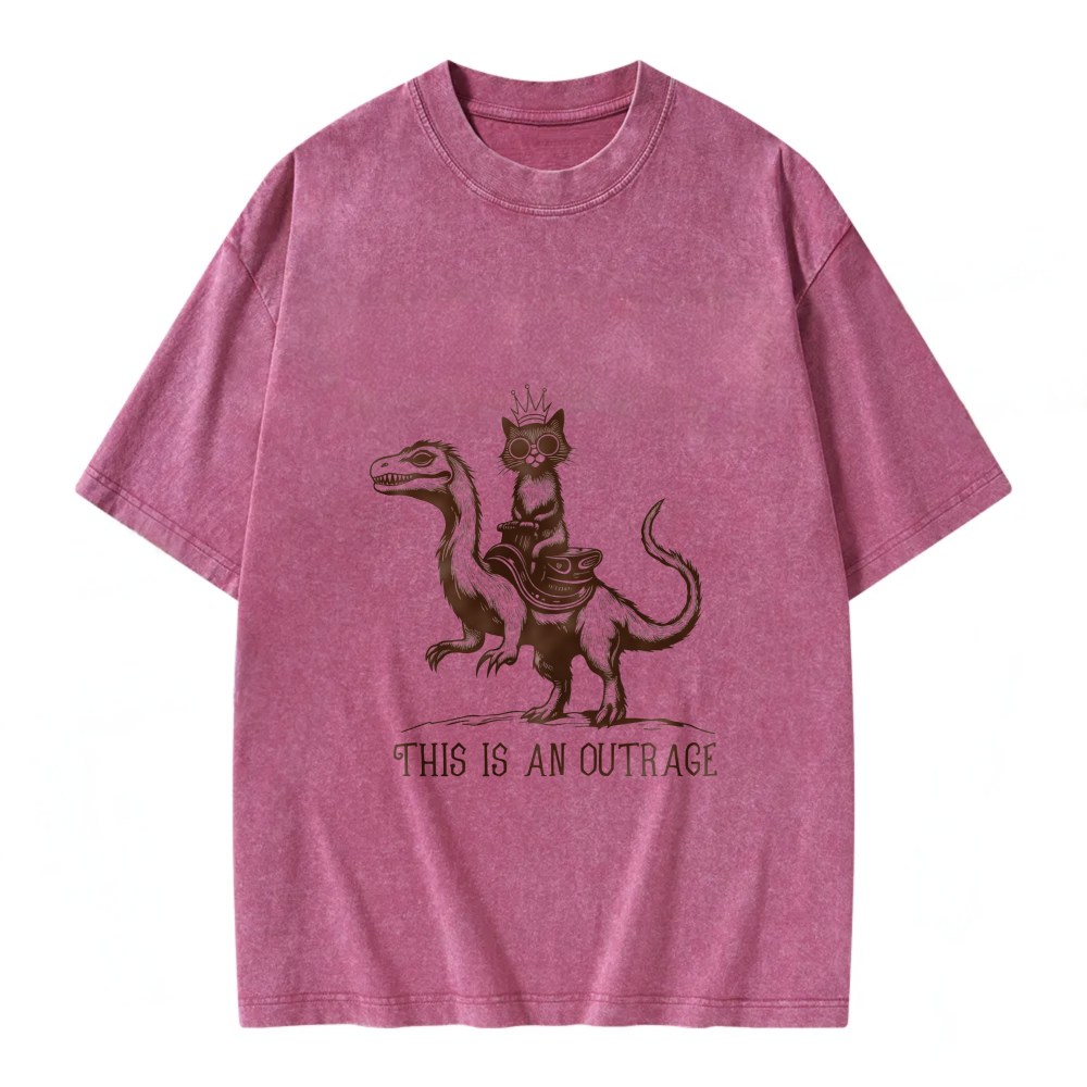 Unisex Washable T-shirt Cat Riding Dragon This Is An Outrage