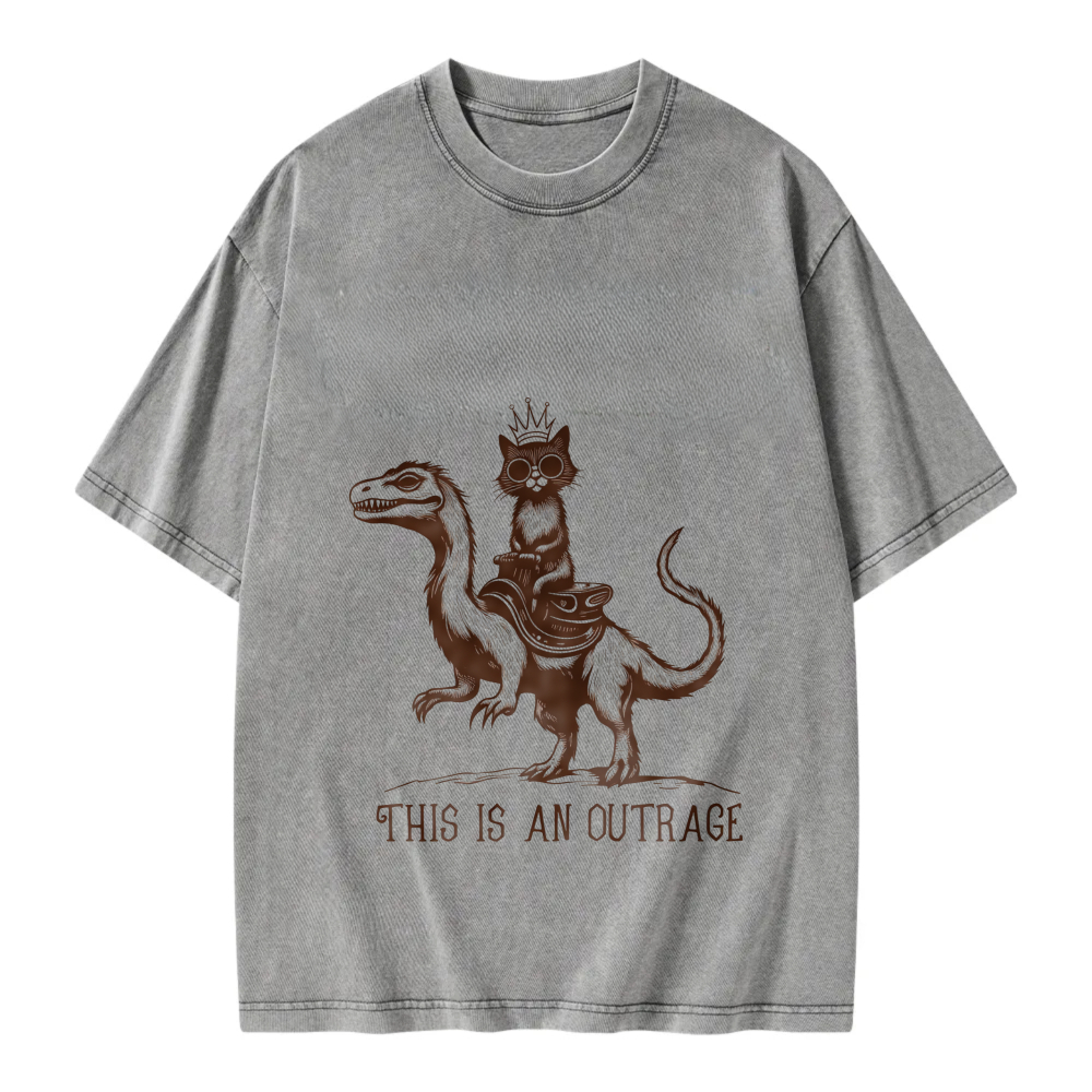 Unisex Washable T-shirt Cat Riding Dragon This Is An Outrage
