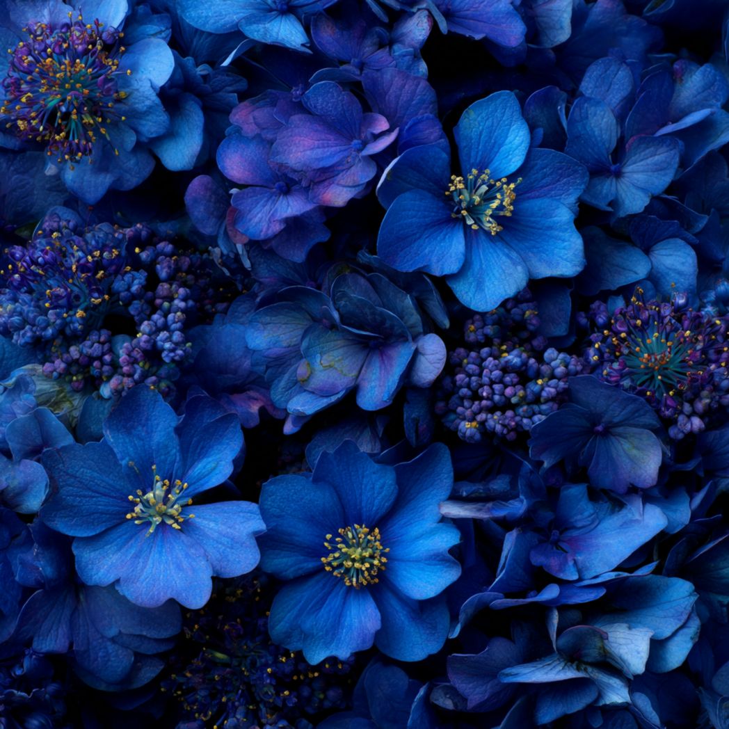 Bloom Beauty Collection