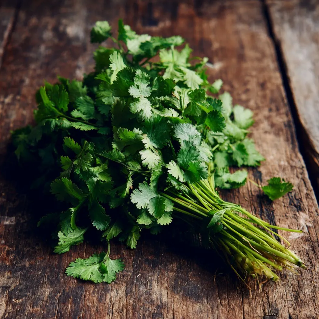 Fresh Vegetable Seeds