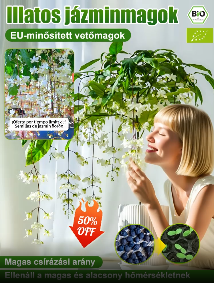 [Messze terjed az illat] Erősen illatos, lógó jázminmagok