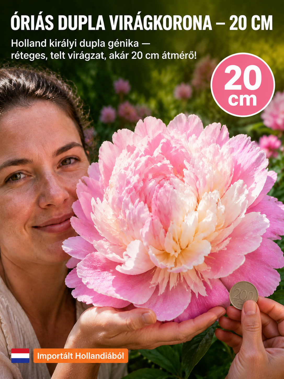 🐝Egyszer ülteted, évről évre virágzik!Bírja a -20 °C fagyot és a 40 °C hőséget，🌺Szebb, mint a rózsa,illatosabb, mint a parfüm! 