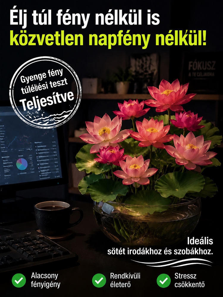 ✨[-25°C körül nyit virágot] élettartama rendkívül hosszú，töltés nélküli légtisztító. Az aroma elsöprő