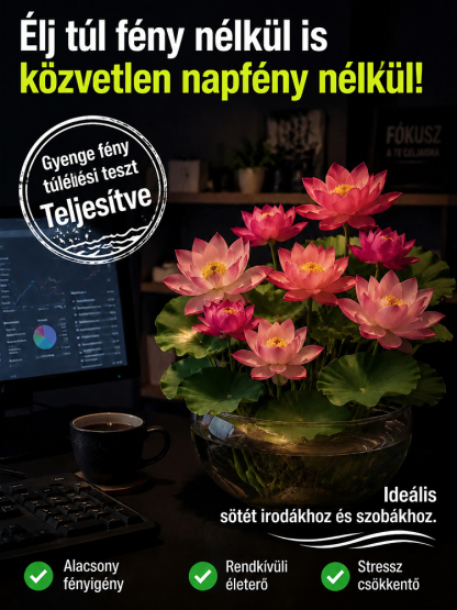 ✨[-25°C körül nyit virágot] élettartama rendkívül hosszú，töltés nélküli légtisztító. Az aroma elsöprő