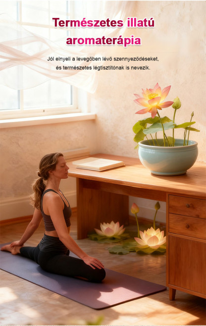 ✨Egész évben zöldell, élettartama rendkívül hosszú，töltés nélküli légtisztító. Az aroma elsöprő