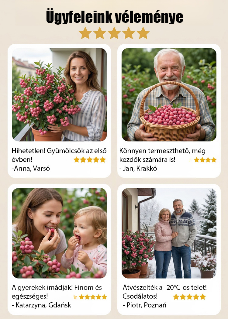 ✨[Gyönyörű és finom]Ültessen el még ugyanabban a hónapban, és élvezze az édes és lédús áfonyát!🏡