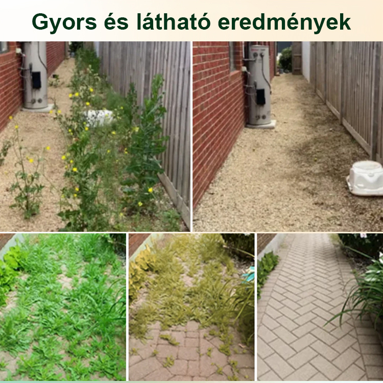 【3 év fűmentes termékek】A Magyar Mezőgazdasági Minisztérium által ajánlott szer, és minden gyomot gyökerestől elpusztít.