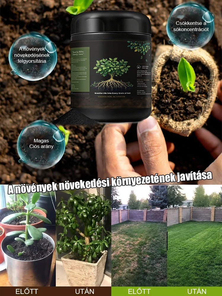 💚Egy kanál pohár vízben –🌱 Még a haldokló növények is képesek új rügyeket hozni! Minden növényhez.