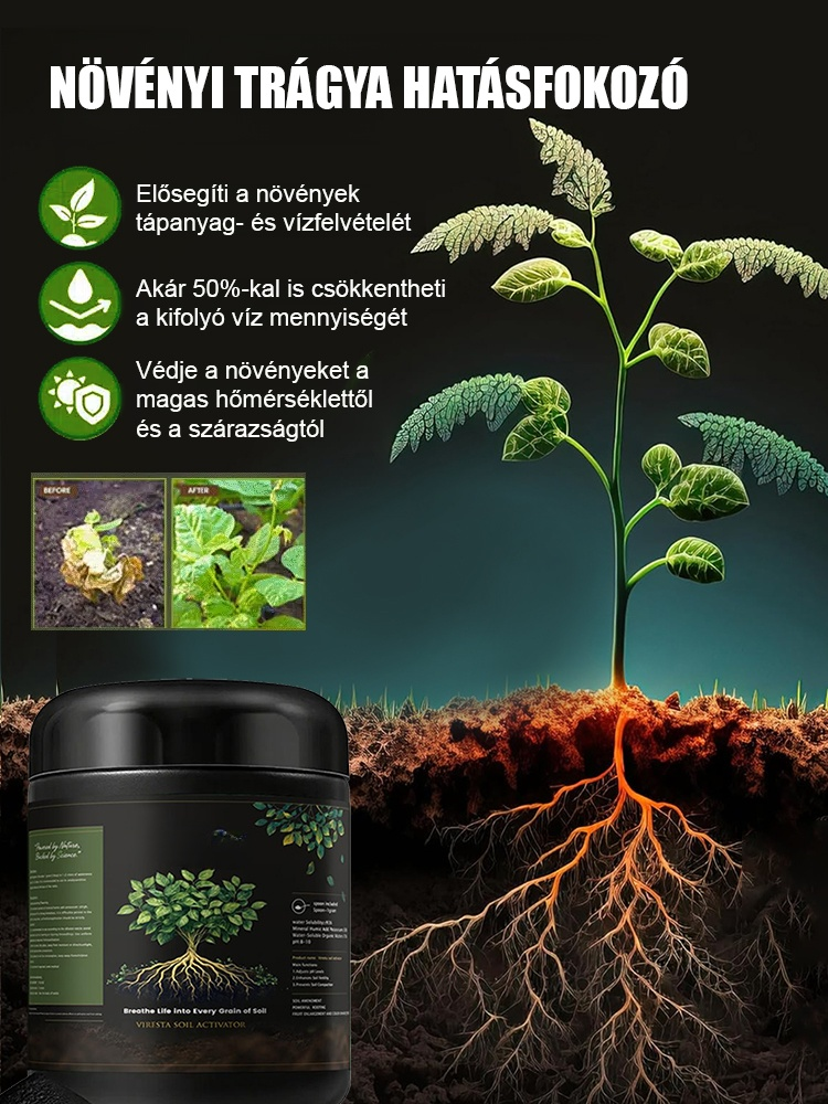 💚Egy kanál pohár vízben –🌱 Még a haldokló növények is képesek új rügyeket hozni! Minden növényhez.