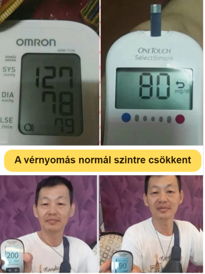 Cukor- és vérnyomáscsökkentő tejes sárga húsú bonsai ginzeng gyümölcs