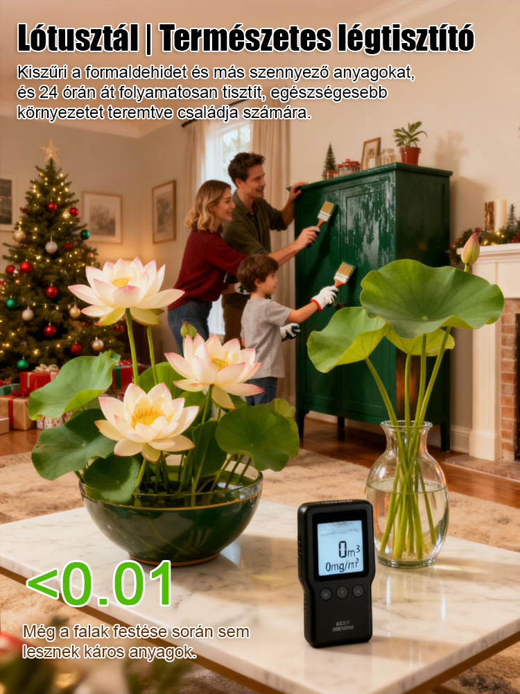 ✨Egész évben zöldell, élettartama rendkívül hosszú，töltés nélküli légtisztító. Az aroma elsöprő