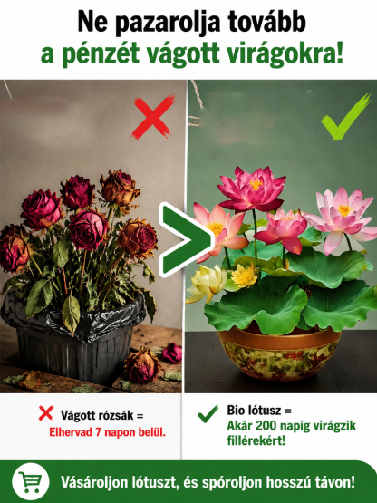 ✨[-25°C körül nyit virágot] élettartama rendkívül hosszú，töltés nélküli légtisztító. Az aroma elsöprő