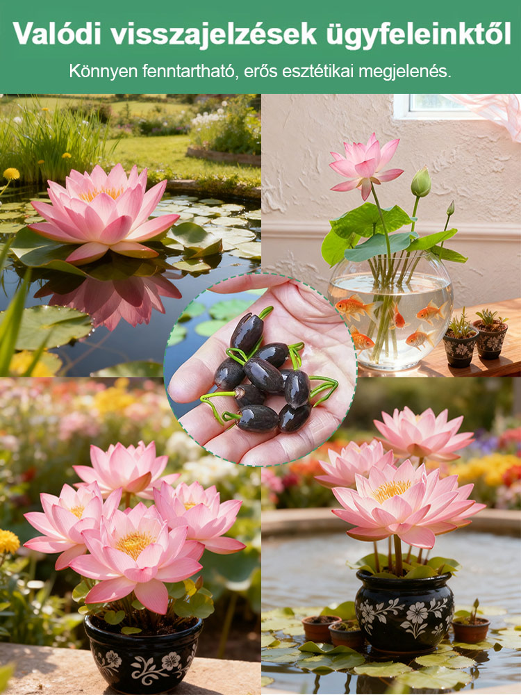 ✨Egész évben zöldell, élettartama rendkívül hosszú，töltés nélküli légtisztító. Az aroma elsöprő