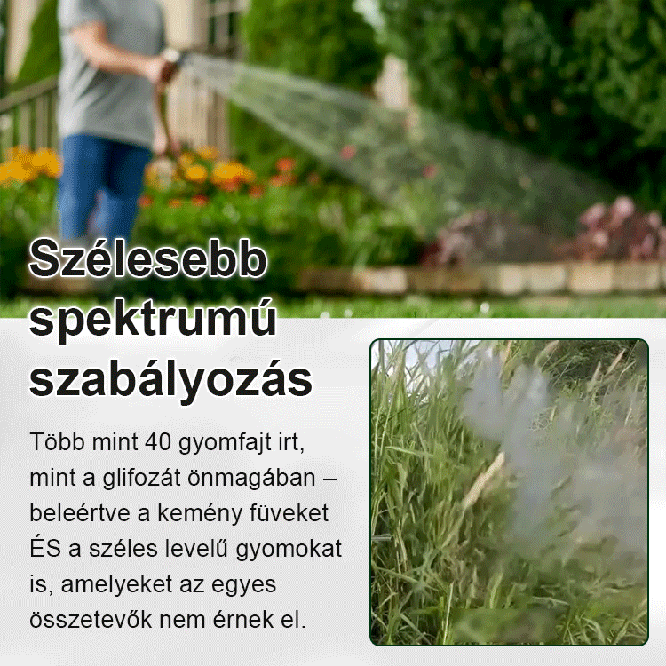 【3 év fűmentes termékek】A Magyar Mezőgazdasági Minisztérium által ajánlott szer, és minden gyomot gyökerestől elpusztít.
