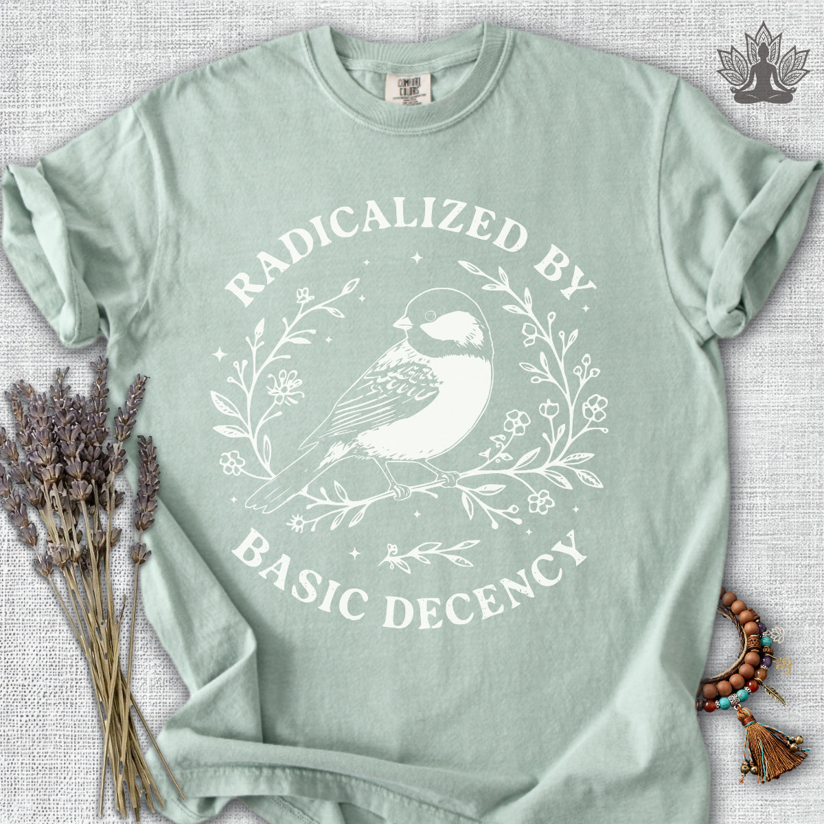 Radicalized By Basic Decency T-Shirt.
