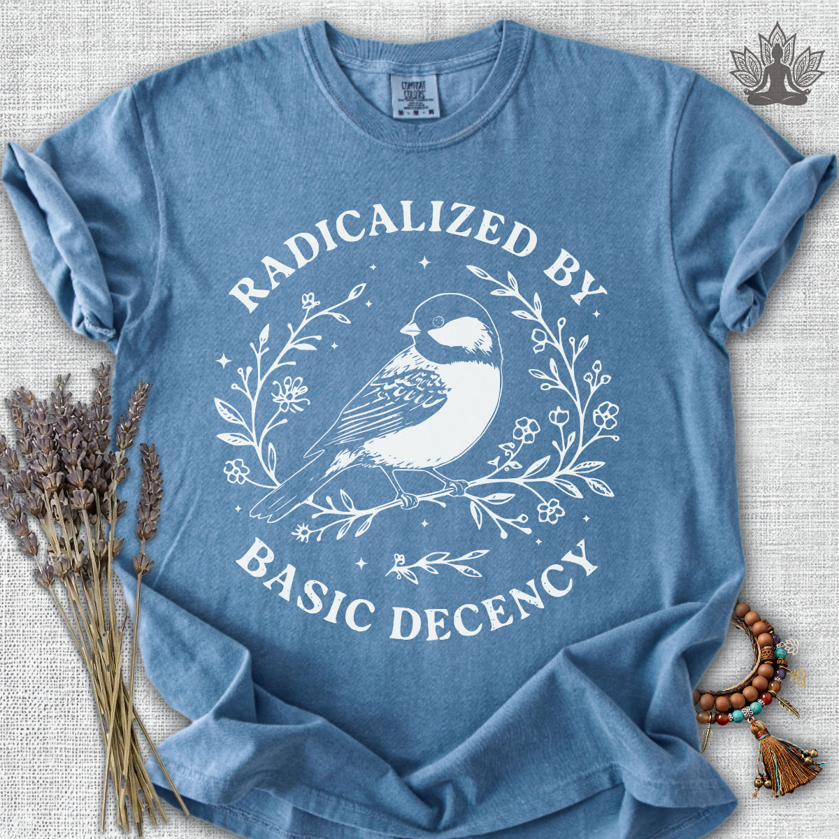 Radicalized By Basic Decency T-Shirt.