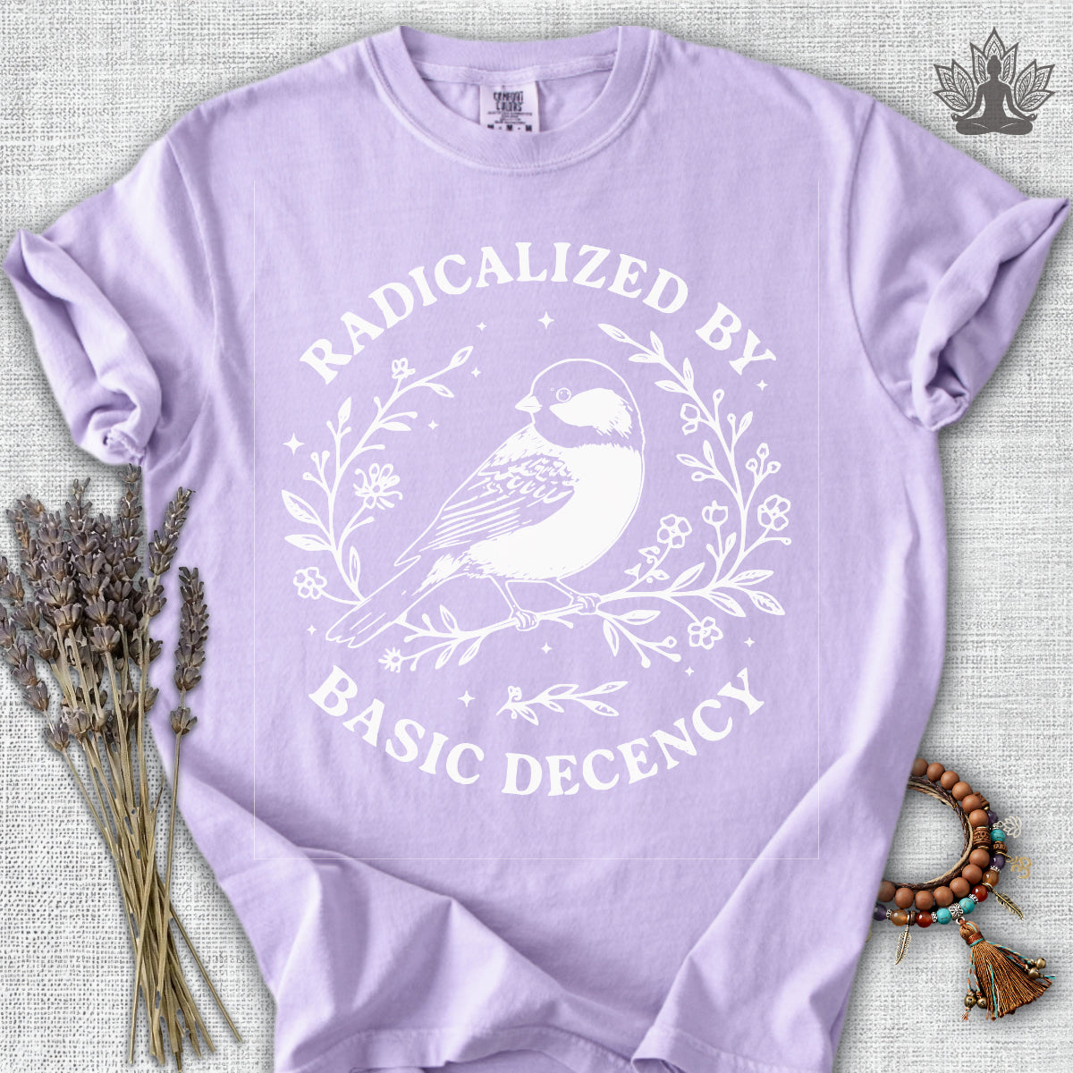 Radicalized By Basic Decency T-Shirt.